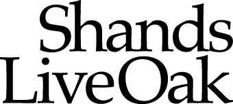 Shands Live Oak