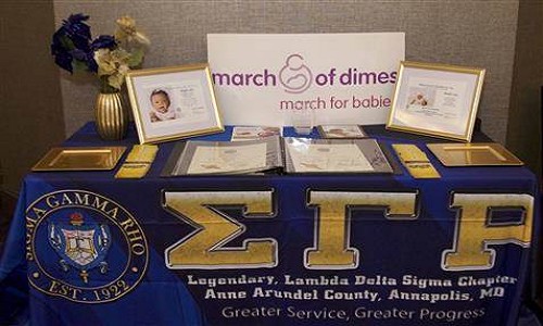 March for Babies - Support and Join a team for Sigma Gamma Rho - Lambda ...