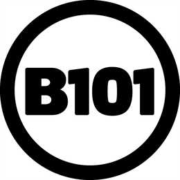 B101