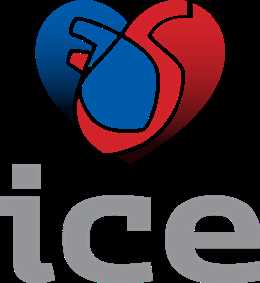 Institute for Cardiovascular Excellence