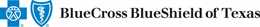 Blue Cross Blue Shield