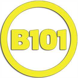 B101
