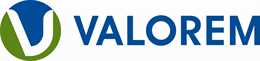 Valorem Consulting