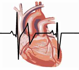 Kanawha Valley Heart Specialists