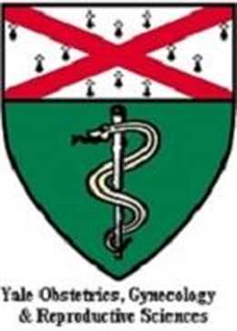 Yale School of Medicine Ob-Gyn Department